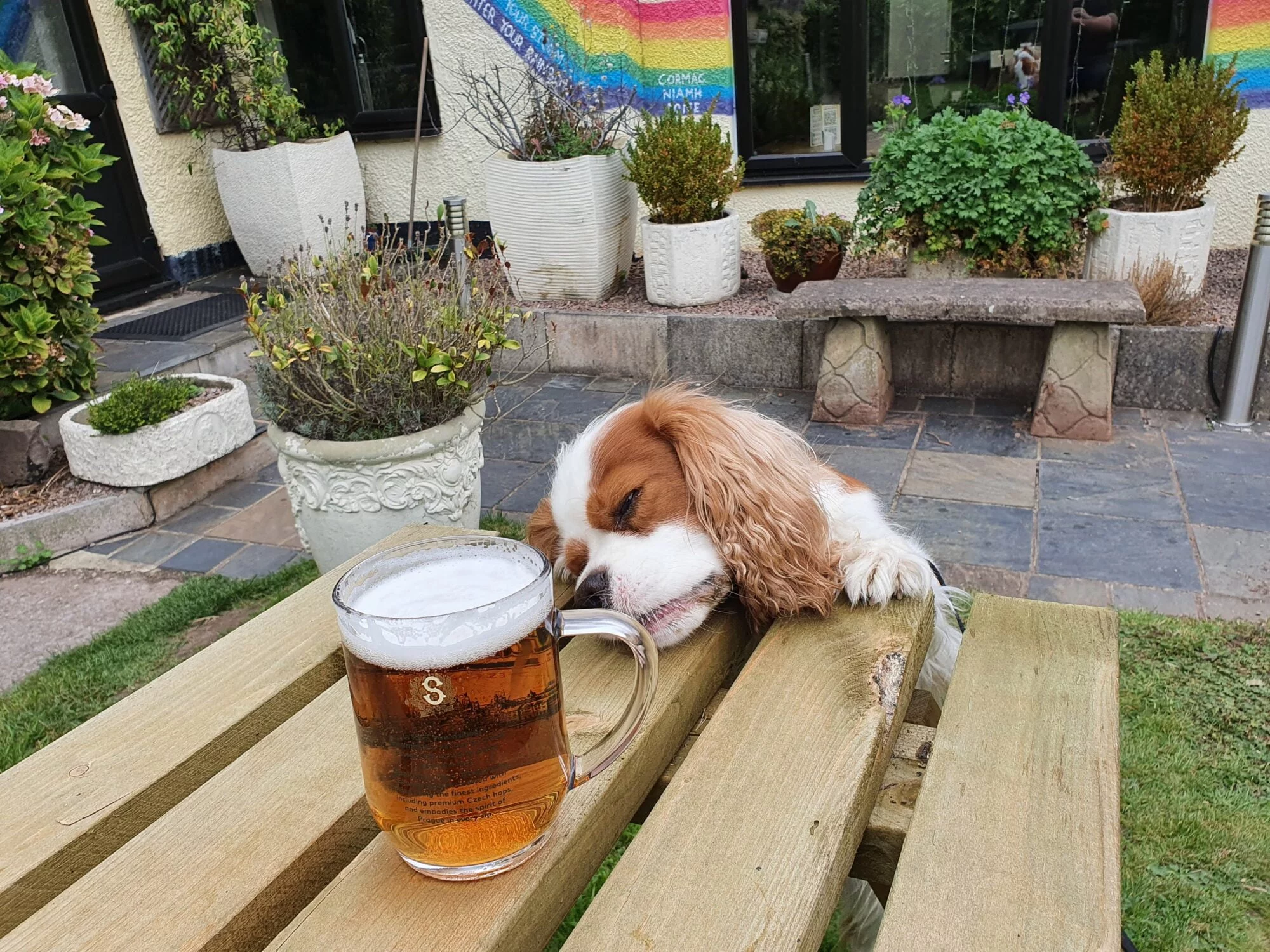 Farmers Boy Beer Garden