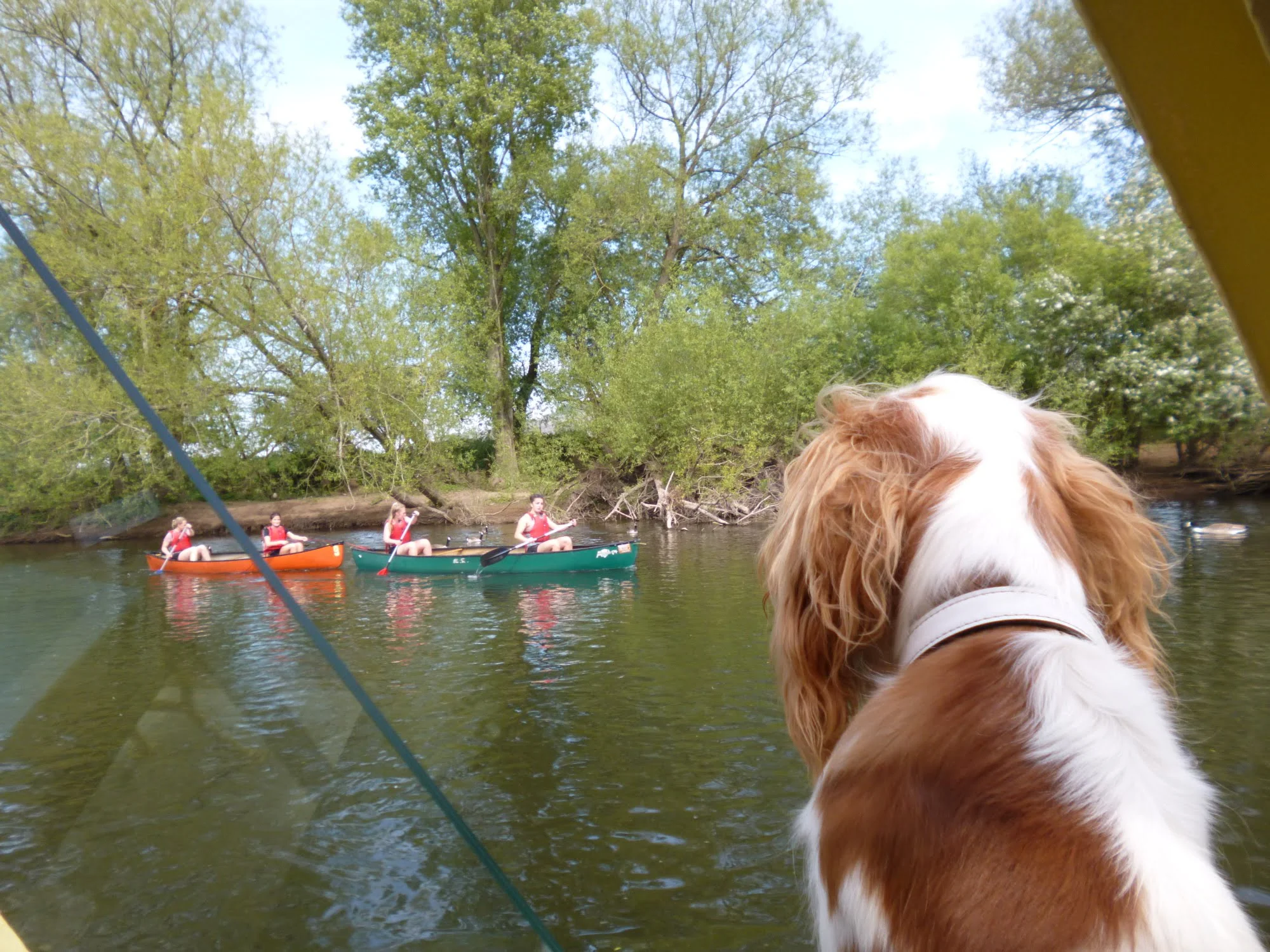 River Wye Boat Trip