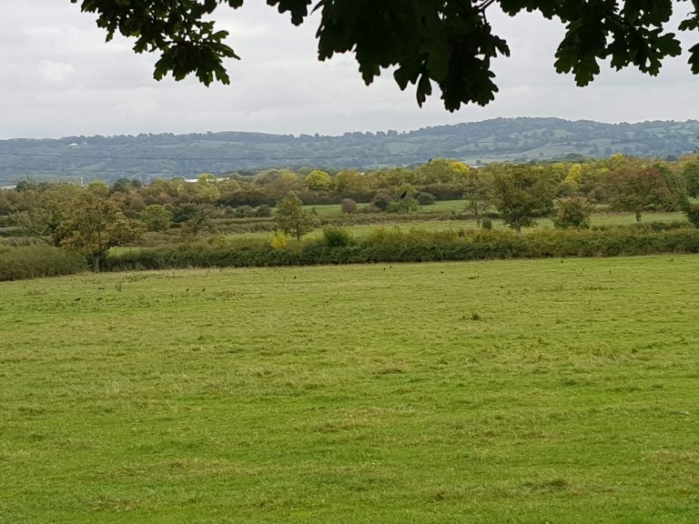 Severn Vale Walks
