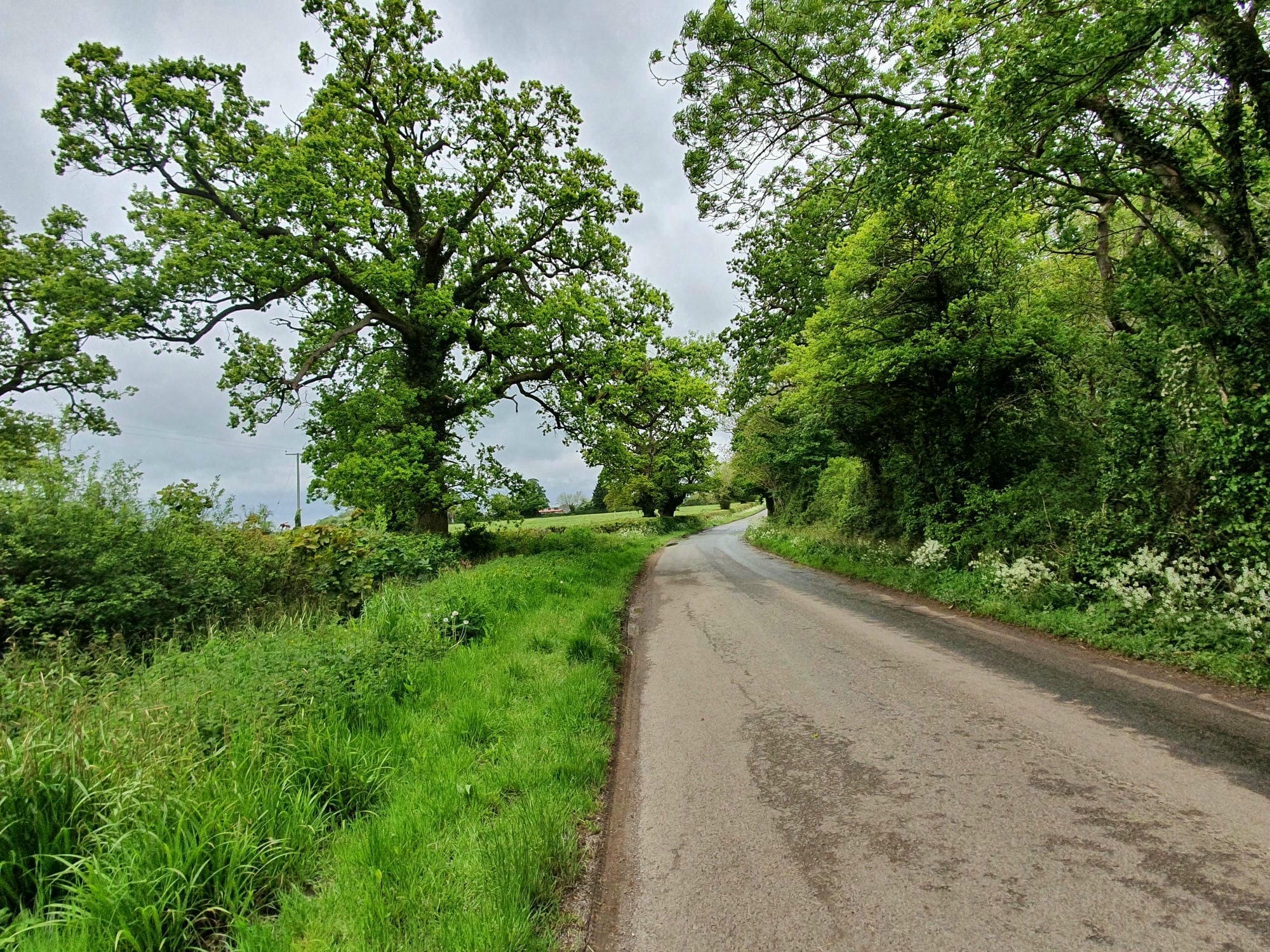 Road to Longney