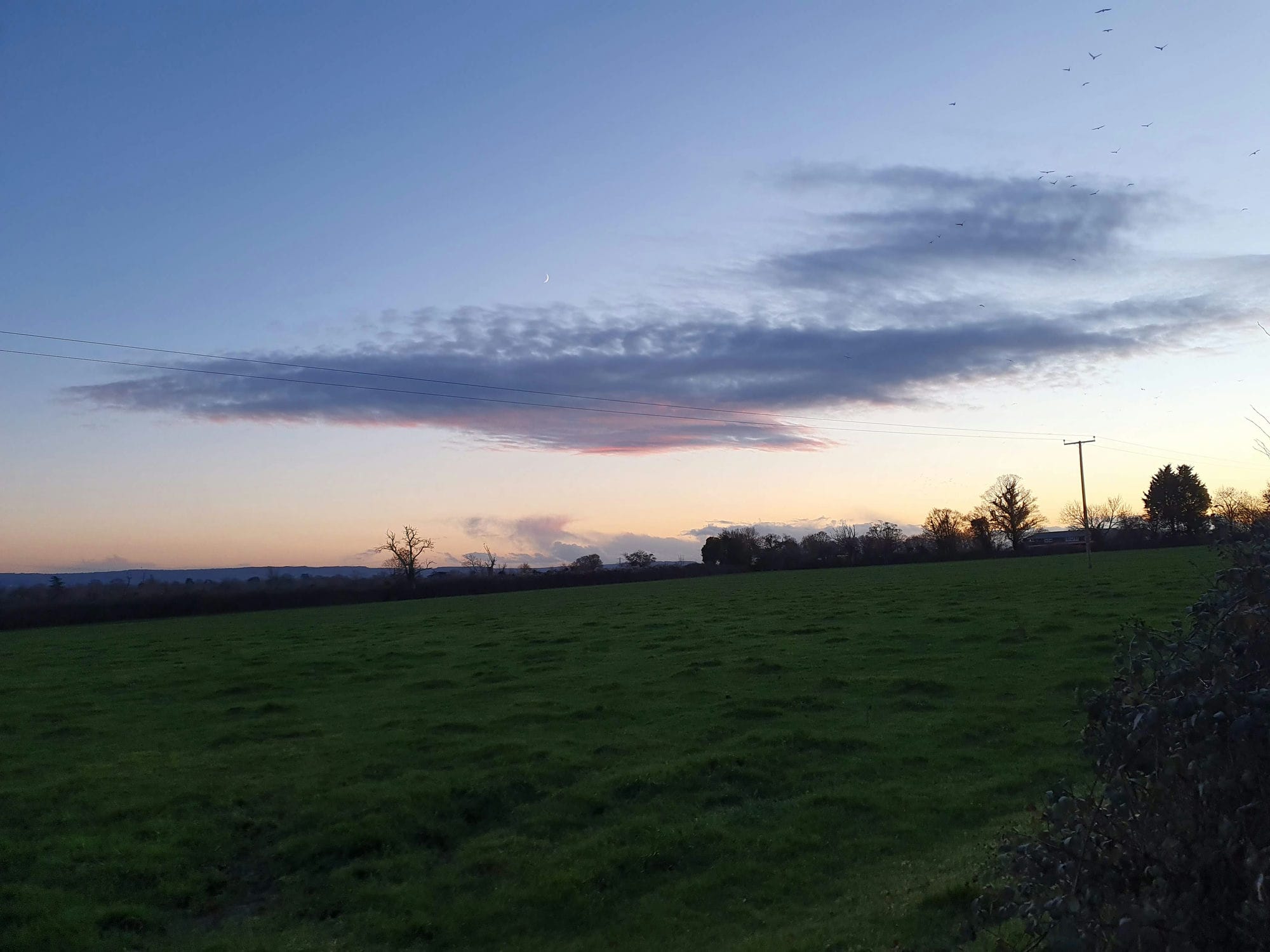 Sunset Longney